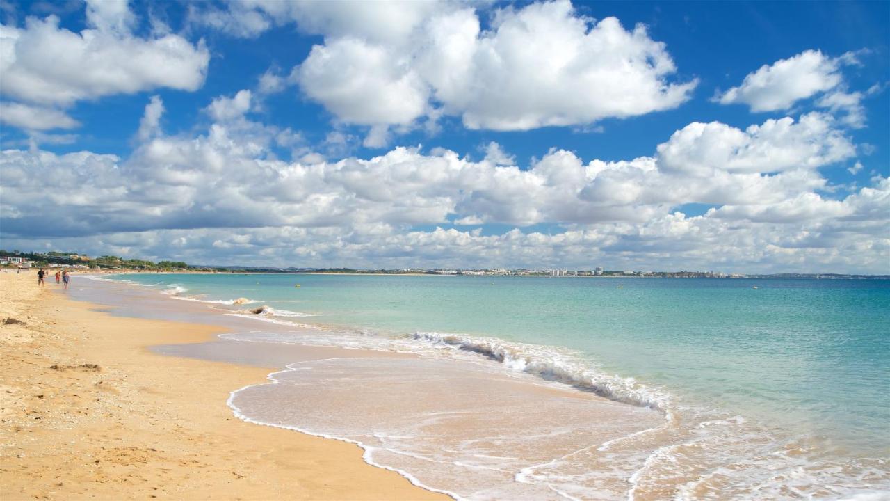 Tranquility And Sea View At Meia Praia #1867 Лагуш Екстер'єр фото